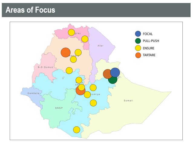 TARTARE Project areas of focus