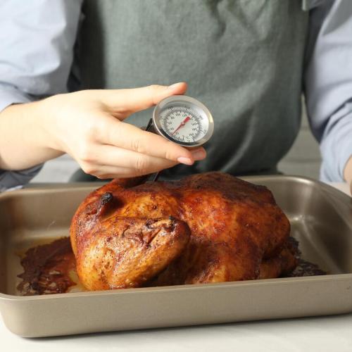 Thanksgiving Turkey with Thermometer